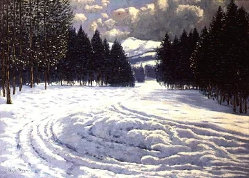 Slädespår i en snöig glänta